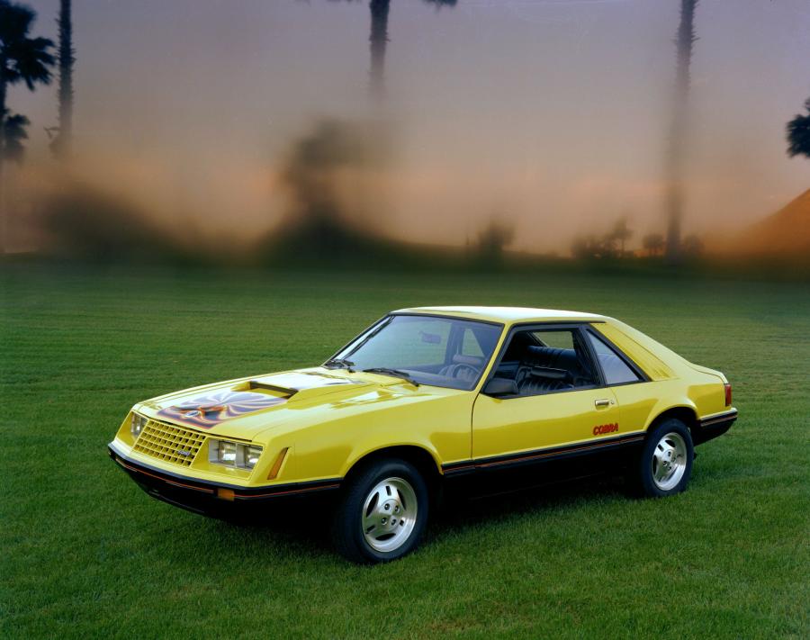  Ford Mustang 1979 года  (фото 11 из 28)